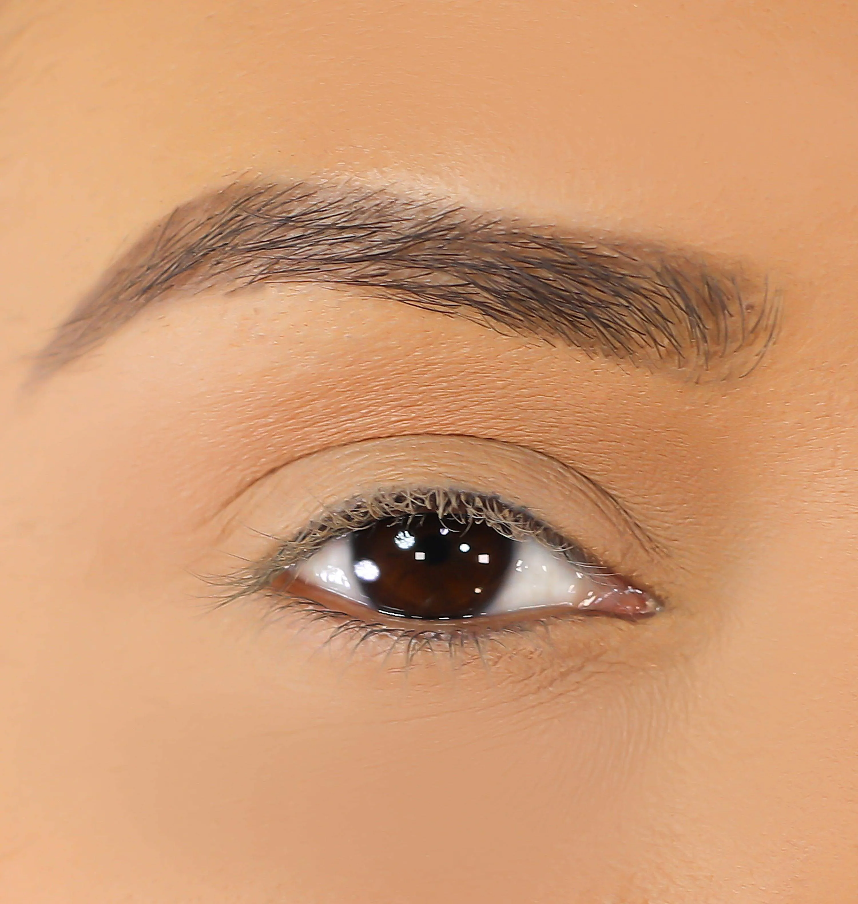 3D Mink Eyelashes - Alexis