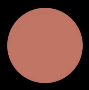 Blush Makeup Cosmetics Liquid Velvet Lipstick