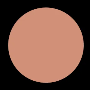 Blush Makeup Cosmetics Liquid Velvet Lipstick