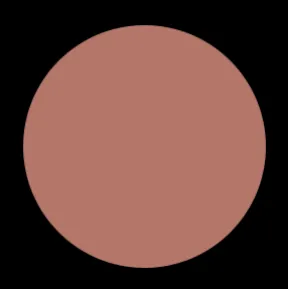 Blush Makeup Cosmetics Liquid Velvet Lipstick