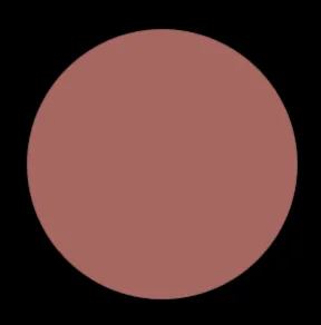 Blush Makeup Cosmetics Liquid Velvet Lipstick