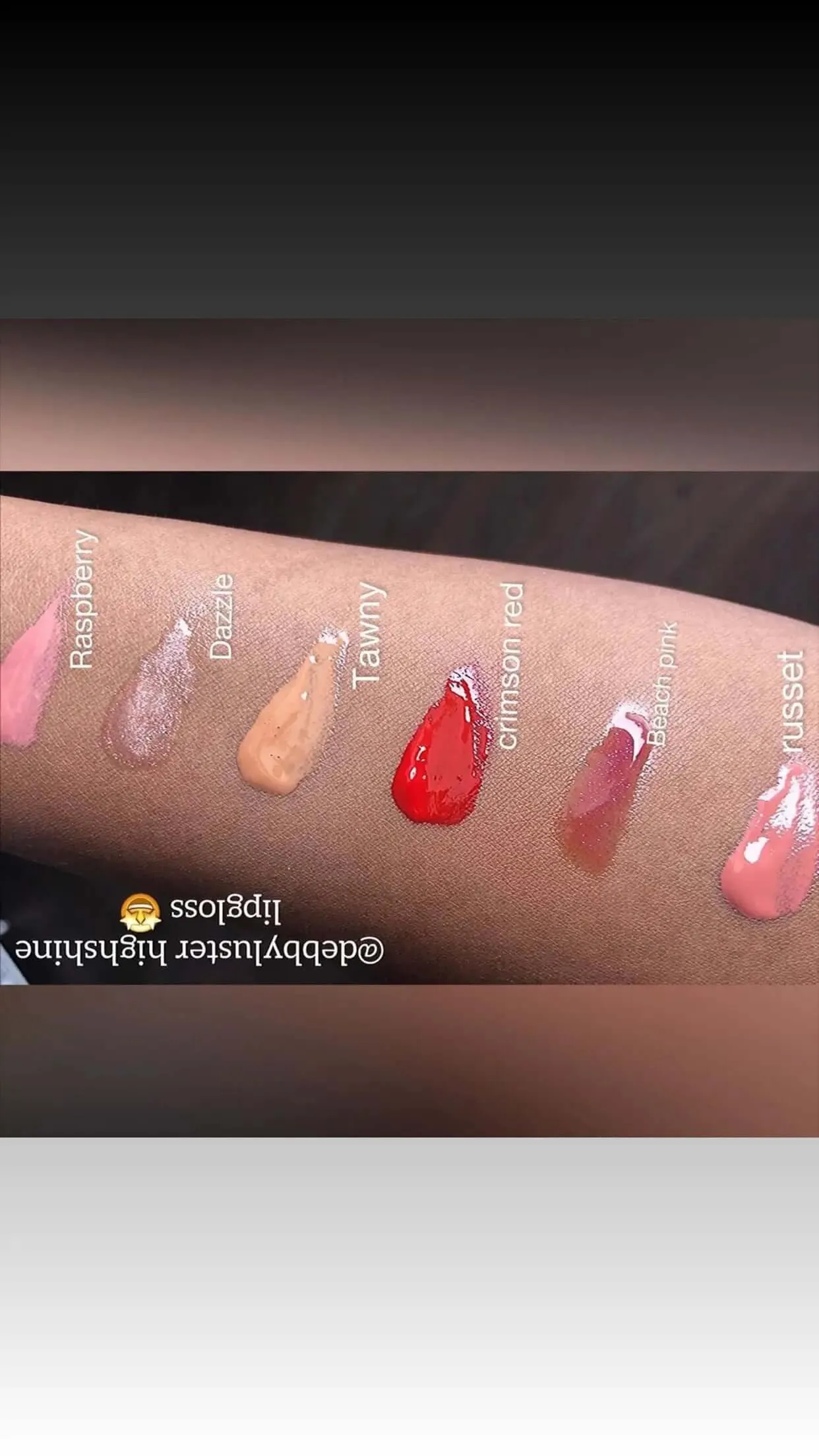 Debbyluster High Shine Lip Gloss